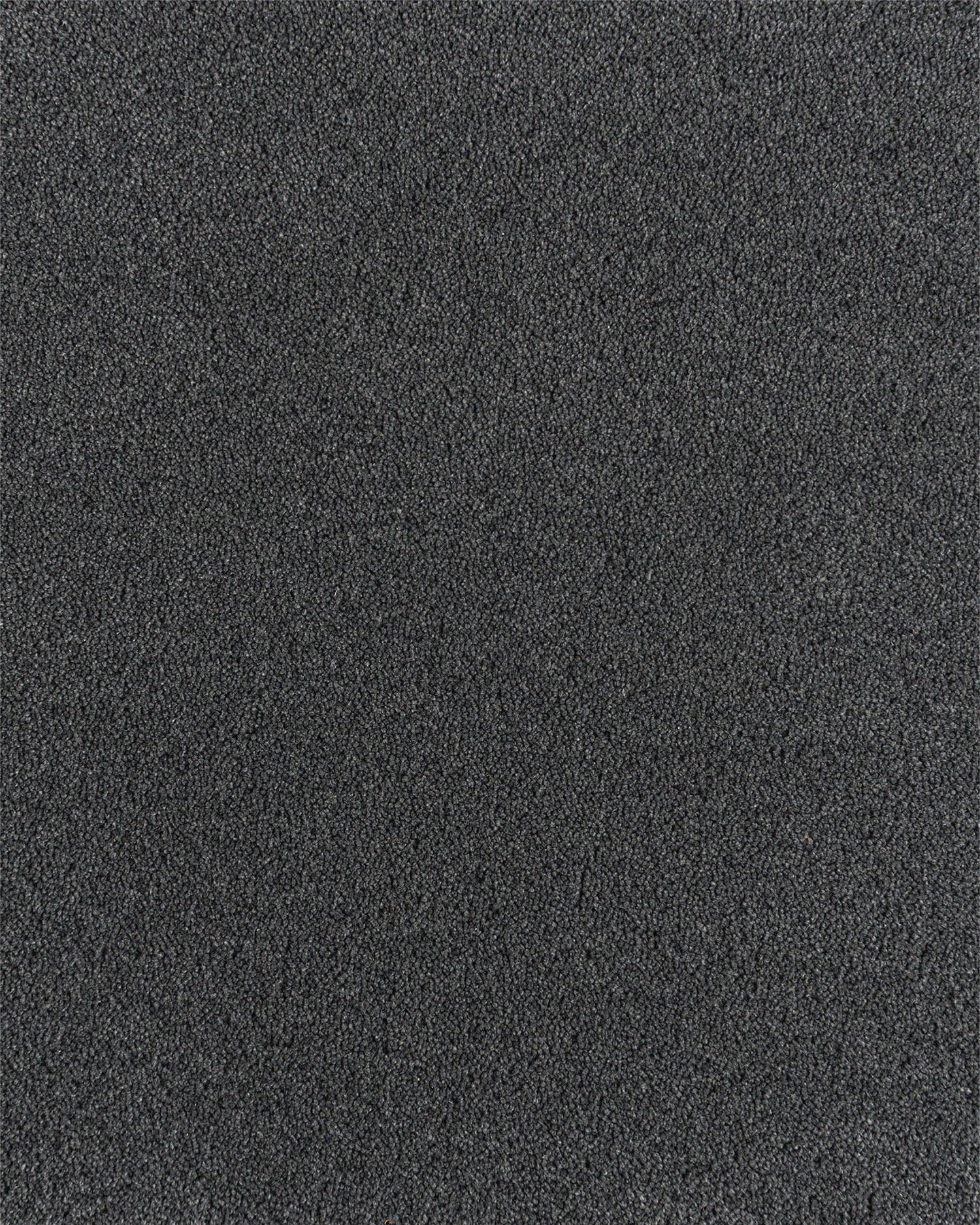 Alma Graphite